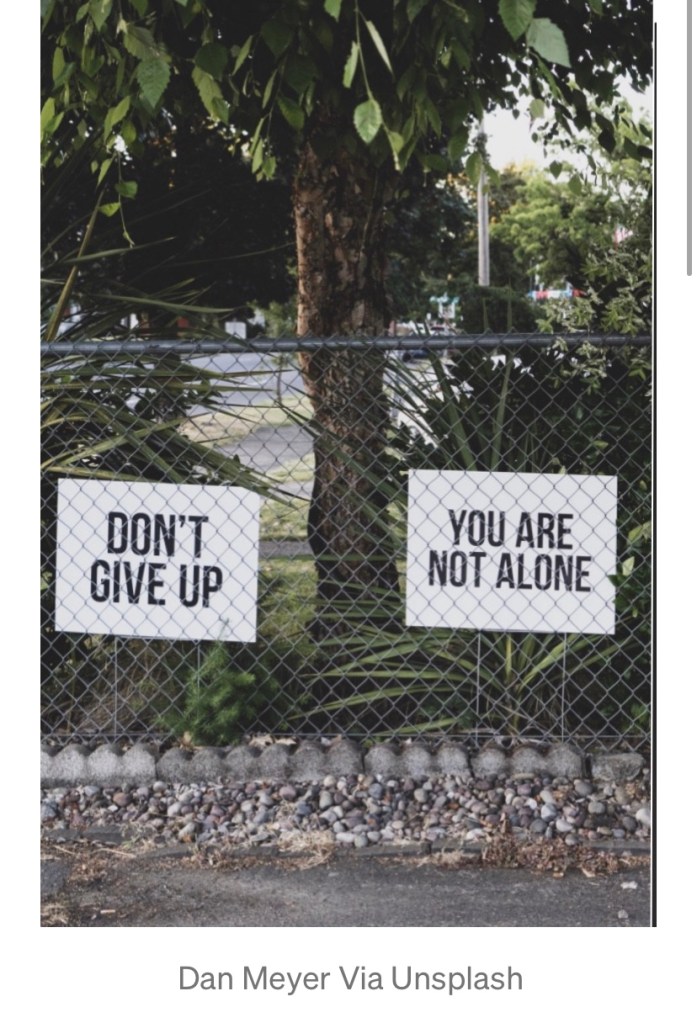 Two inspirational signs sit behind chain-link fencing. One reads don’t give up and one reads you are not alone.￼￼